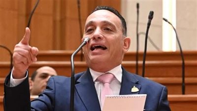 البياضي يسئل الحكومة عن ملاحظات «الضبعة»: حماية المشروع لا تكون بالتعتيم