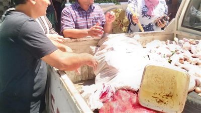 ضبط ربع طن فراخ مُحقونه ولحوم فاسدة بأحد مطاعم بالمنوفية