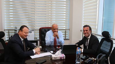 تنفيذ الدراسات النهائية لمشروع الربط الكهربائي بين مصر وأوروبا عبر إيطاليا