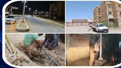«فيصل» بالسويس يكثف أعمال صيانة وتأمين أعمدة وكابلات الإنارة