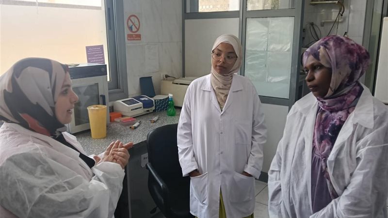 التدريبات المقدمة