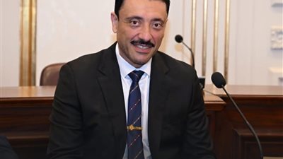 محمد رزق: مشروع «جوليوس نيريري» شهادة جديدة على قوة الخبرات المصرية