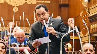النائب محمد الجندي: جوليوس نيريري بصمة مصرية تاريخية لتعزيز التنمية في القارة
