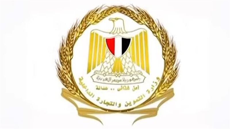 صورة توضيحية 