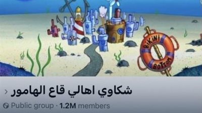 «حرب نفسية ضد الدولة».. تفاصيل صادمة حول جروب «قاع الهامور» |خاص