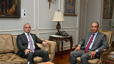 وزيرا الخارجية والاستثمار يبحثان تعزيز الترويج للاقتصاد المصري بالخارج