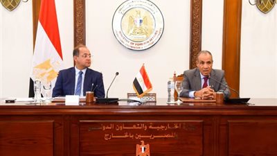 وزير الخارجية يستقبل وزير المالية ويبحثان مع السفراء دعم الاقتصاد المصري
