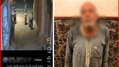 عقر زوجته.. خفير ينهال بالضرب على كلب والداخلية تكشف تفاصيل الواقعة