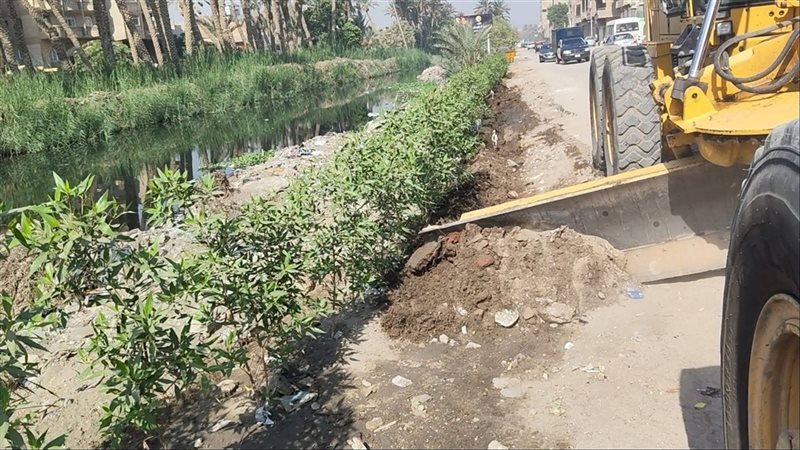 مبادرة «ازرع شجرة»