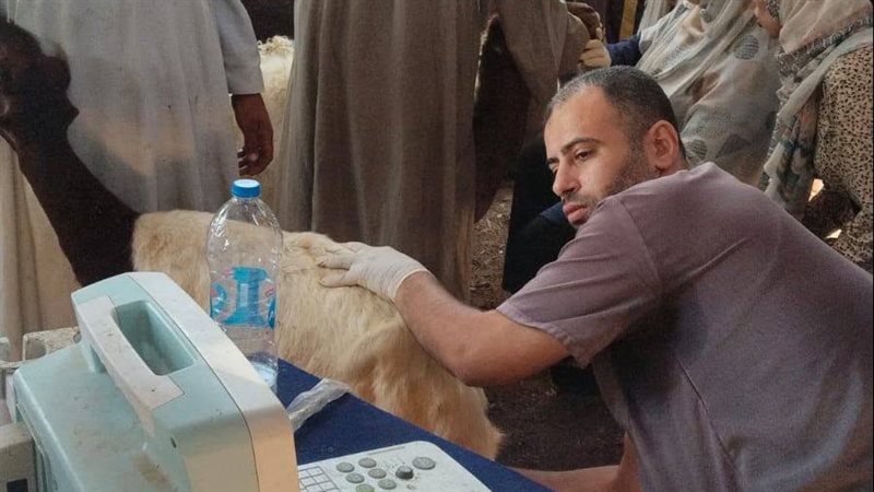 خلال الحملة 