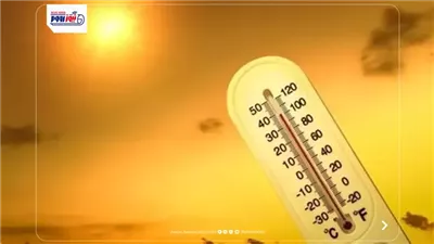 حالة الطقس اليوم الأحد.. الأرصاد تحذر من الشبورة والرياح واضطراب الملاحة