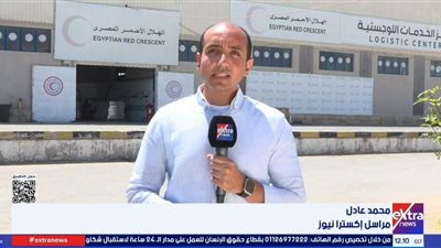 «زاد العزة» تواصل طريقها إلى غزة.. 263 قافلة مصرية رغم العراقيل الإسرائيلية