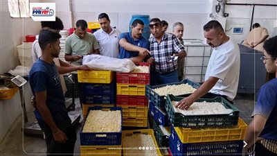 ضبط مصنع جبنة موتزاريلا بالفيوم والتحفظ على مواد كيميائية وحشرات داخله 
