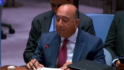 مندوب مصر بمجلس الأمن: يجب وضع حد لتهريب الأسلحة والمرتزقة إلى السودان 