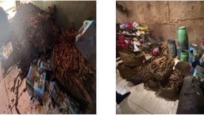 ضبط مصنع غير مرخص لإنتاج المعسل وبحوزته أكثر من 8 أطنان بدمياط