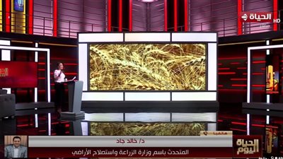 متحدث وزارة الزراعة: نستهدف الاقتراب من 4 ملايين فدان قمح بالموسم المقبل