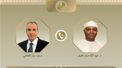 وزيرا خارجية مصر وتشاد يشددان على وحدة السودان وسيادته 