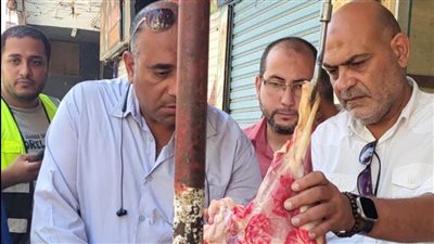 «صحة المواطن خط أحمر» ضبط ٧٧٠ كيلو من العجول واللحوم والأحشاء المخالفة بالعبور