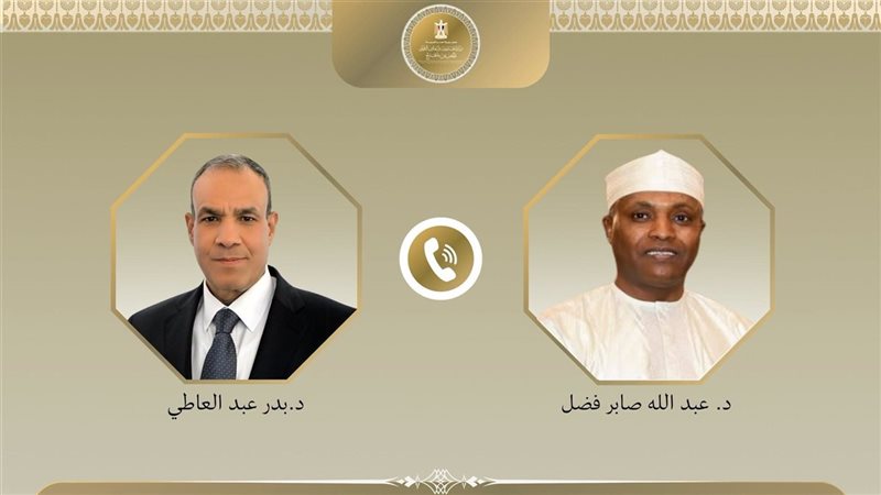 وزيرا خارجية مصر