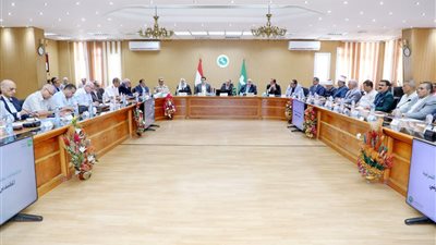 محافظ الشرقية: إلغاء الفقرات الفنية بالعيد القومي احتراما لشهداء الدواويس 