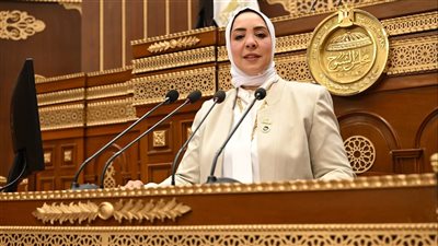 برلمانية تطالب الحكومة بترجمة توجيهات الرئيس السيسي إلى خطط تنفيذية واضحة