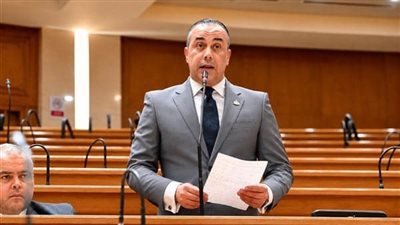 النائب محمد بلتاجي: توجيهات الرئيس السيسي تضبط منظومة فواتير الكهرباء وتغلق الباب أمام التقديرات العشوائية
