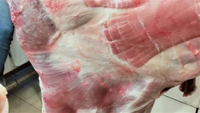 حملة بيطرية في دمياط تضبط لحوم مذبوحة خارج المجازر الحكومية بمدينة فارسكور