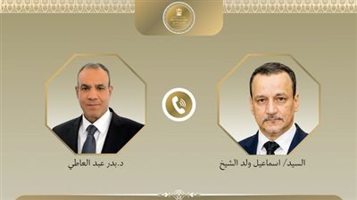 عبد العاطي يهنئ الأمين العام الجديد للتعاون الإسلامي.. ويؤكد دعم مصر للمنظمة