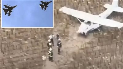 سرق طائرة واتجه لمحطة نووية.. مطاردة جوية تنتهي في حقل دوار الشمس بالمجر