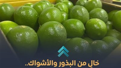 الزراعة تعلن تسجيل صنف 