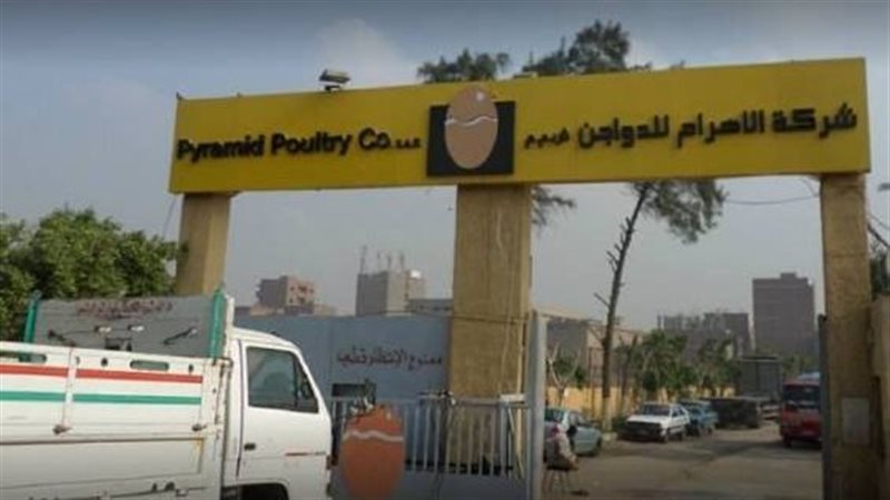  شركة الأهرام للدواجن