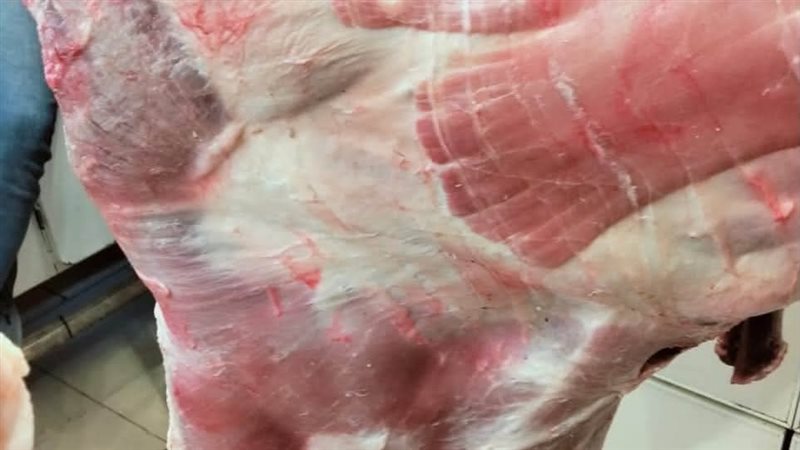 حملة بيطرية في دمياط