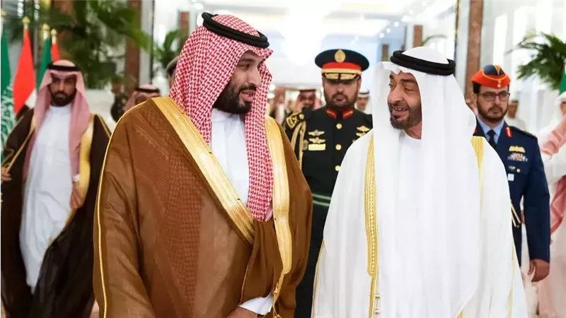 الرئيس الإماراتي