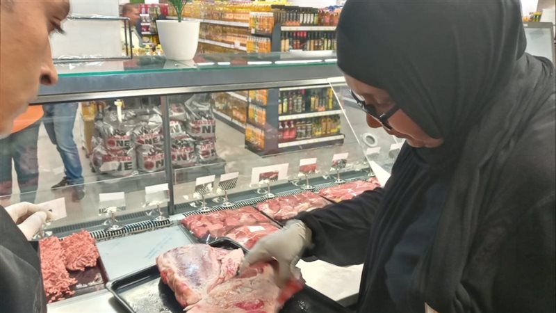الحملة