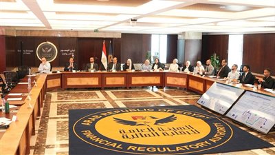 الرقابة المالية تضع خارطة طريق جديدة لتطبيق معايير الإفصاح عن الاستدامة 