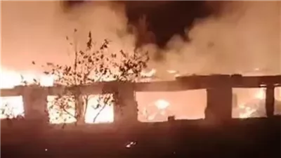 المعمل الجنائي يفحص حريق مزرعة دواجن بعزبة الجمل في المحلة