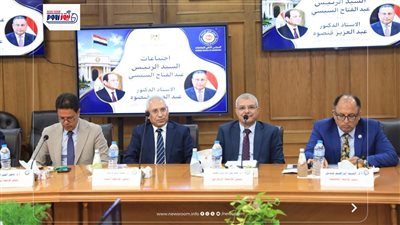 رئيس جامعة المنيا يشارك في اجتماع الأعلى للجامعات برئاسة وزير التعليم العالي 