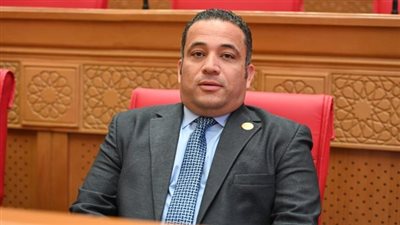 هاني شحاتة: القطاع العقاري والصناعات المرتبطة به يمثلان 40% من الدخل المحلي