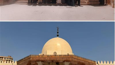 رئيس جامعة القاهرة: مبادرة اعرف بلدك تعرف الطلاب بتاريخ وطنهم ميدانيًا
