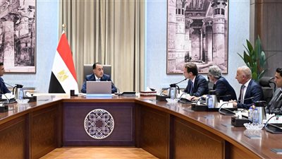 رئيس الوزراء يبحث مع رئيس 
