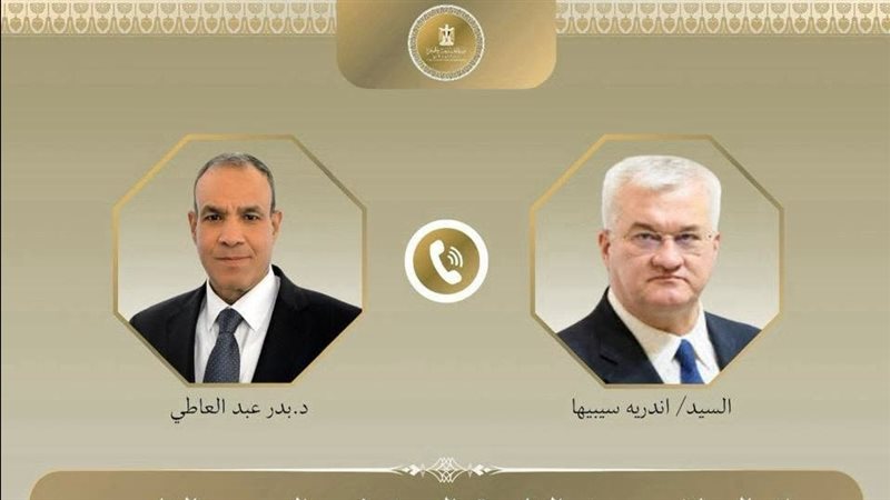 وزيرا خارجية مصر