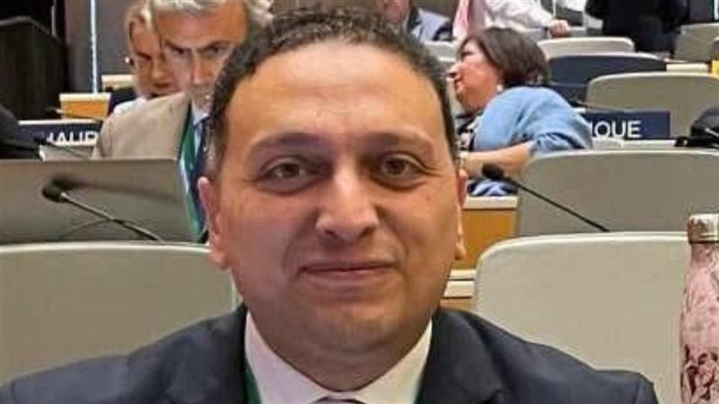 المستشار محمد عادل