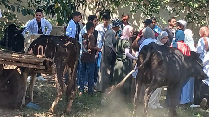 قافلة بيطرية مجانية