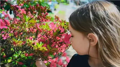 هل تساعد حاسة الشم على تحسين الصحة النفسية للأطفال؟ 