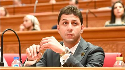 النائب أحمد علاء: زيارة الرئيس الصيني لمصر تعزز التعاون الاستراتيجي