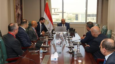 وزير الكهرباء يبحث توفير الطاقة لمشروع عالمي لمراكز البيانات في مصر