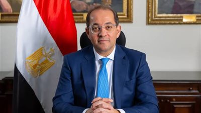 وزير المالية: تبسيط الإجراءات بأبلكيشن الضرائب العقارية وإزالة تحديات الممولين