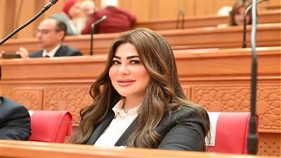 ولاء الصبان: القمة المصرية الصينية تعكس ثقل القاهرة المحوري بالمنطقة