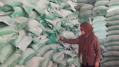 ضبط 500 كيلو أسماك مستوردة غير صالحة للاستهلاك الآدمي و1000 لتر سولار بالبحيرة