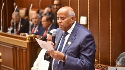 حلمي جاويش: الشراكة المصرية الصينية تفتح الباب أمام استثمارات نوعية